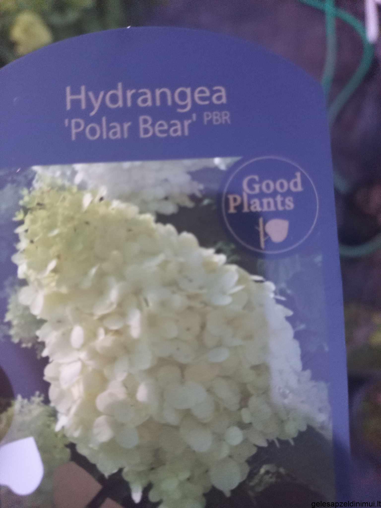 373456848_838867011229943_3332564464910741829_n