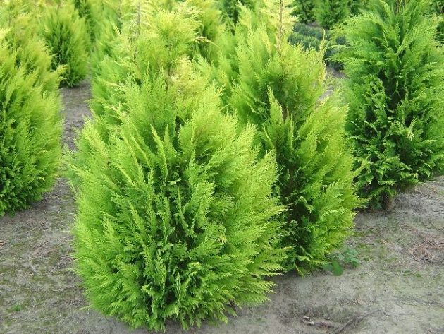 7ca8a31c453e0d64defd01379c472e70