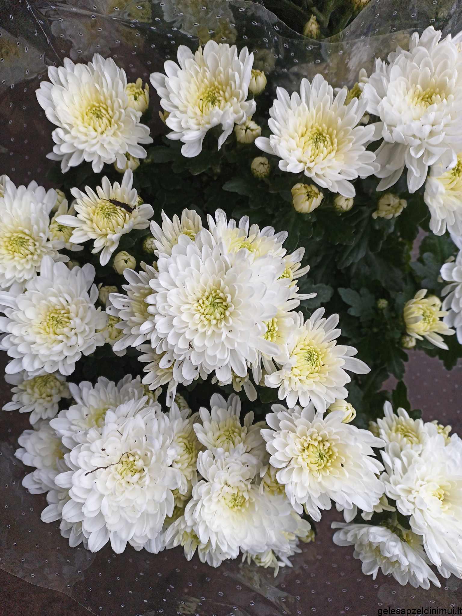 393854684_1016313112980847_836957731134290128_n