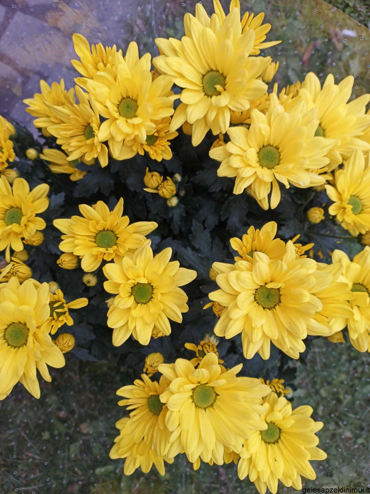 394162767_632646555710772_9135235248052955834_n