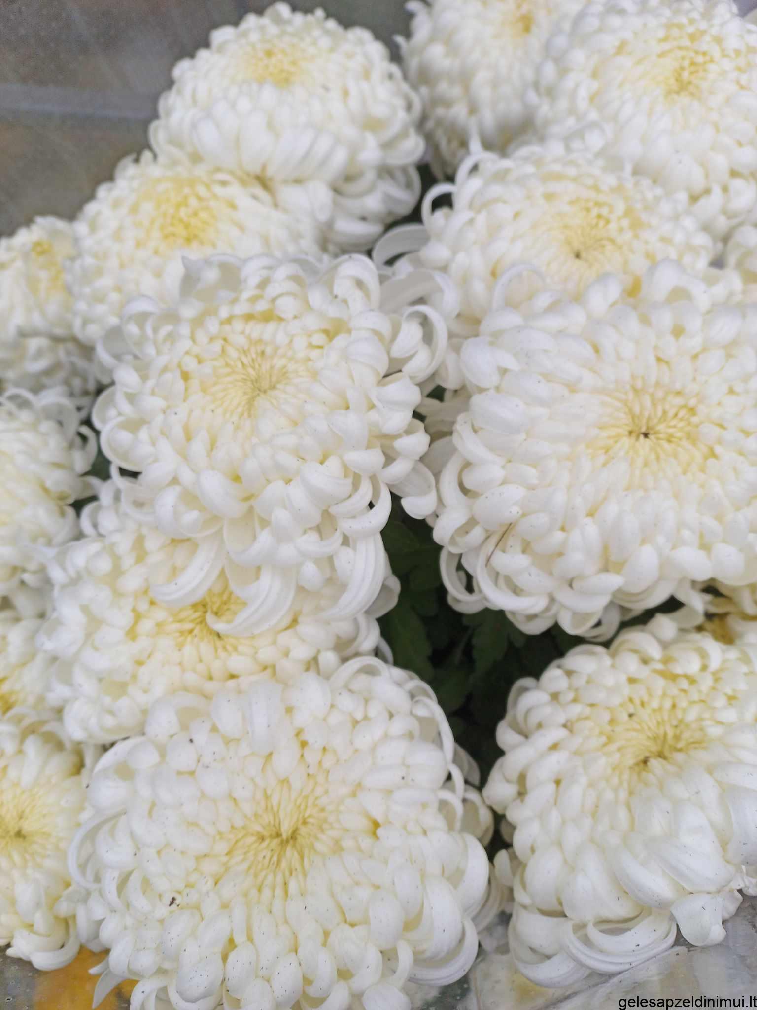 394179372_297362133248319_4852638213290595562_n