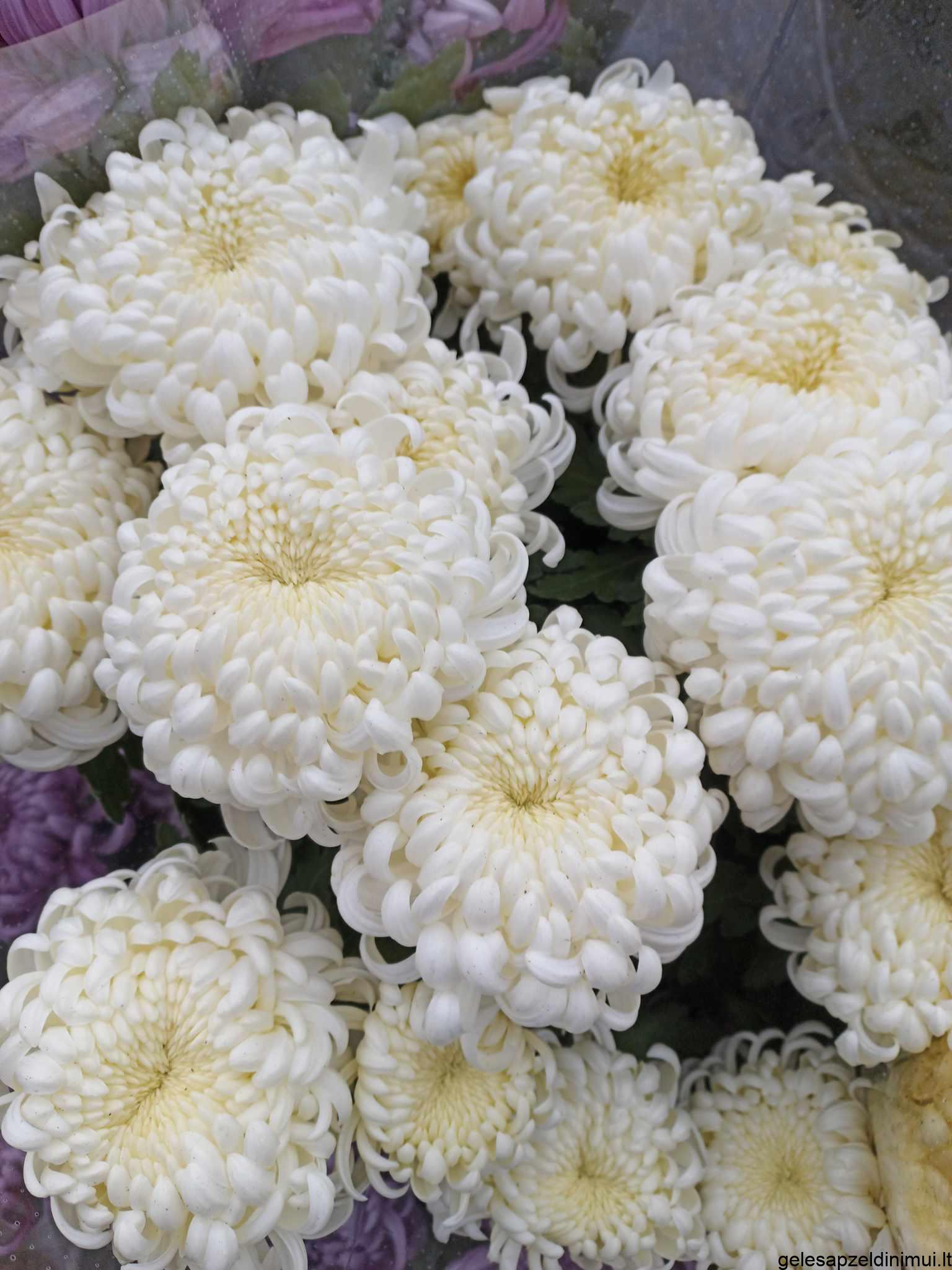 394219752_274839988244815_1662648121430675309_n