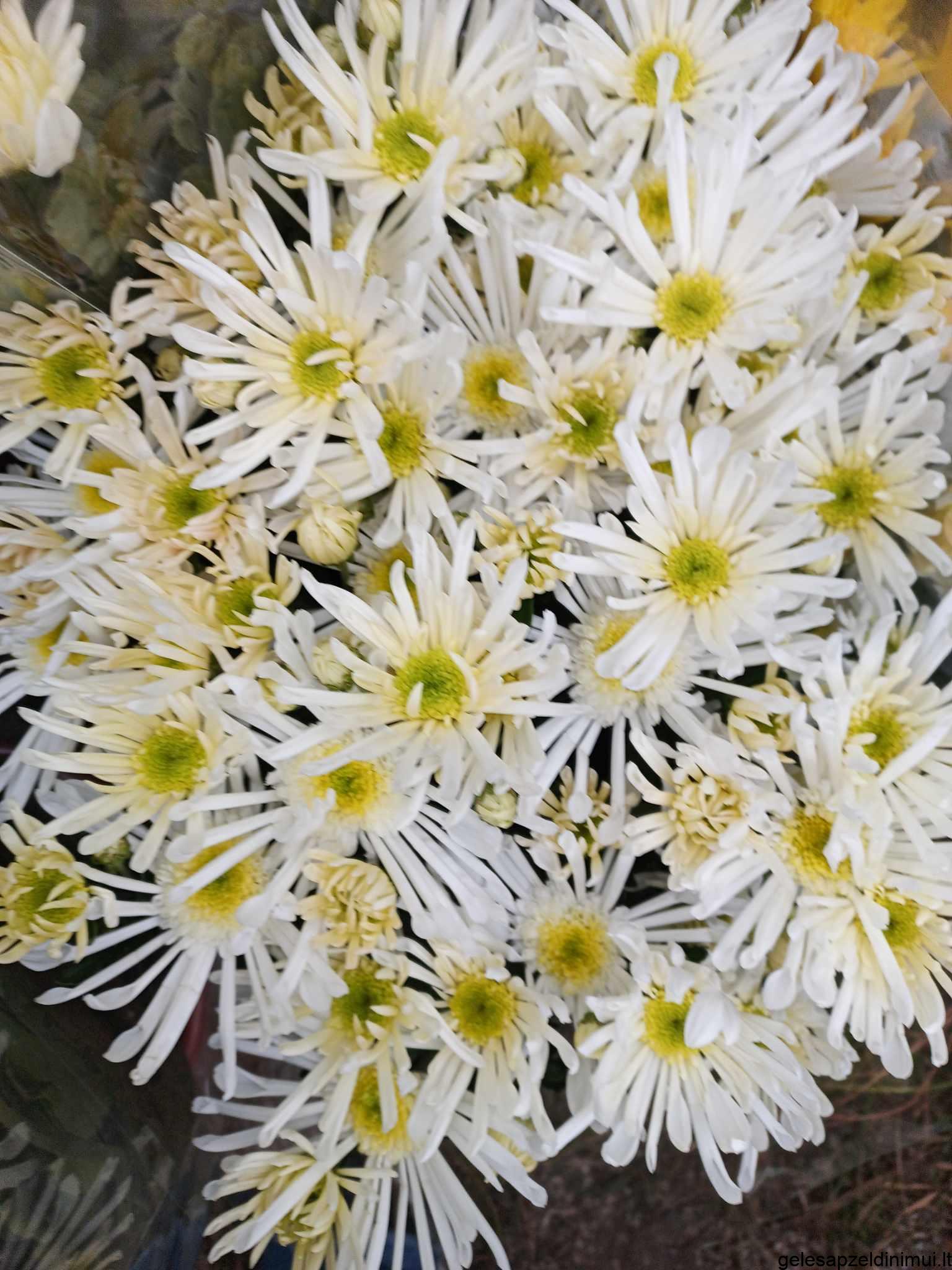 394243616_998587934760350_7436503135102302886_n